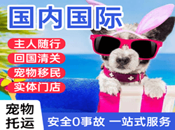 营口机场物流国际宠物托运 【国